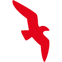 Air Arabia
